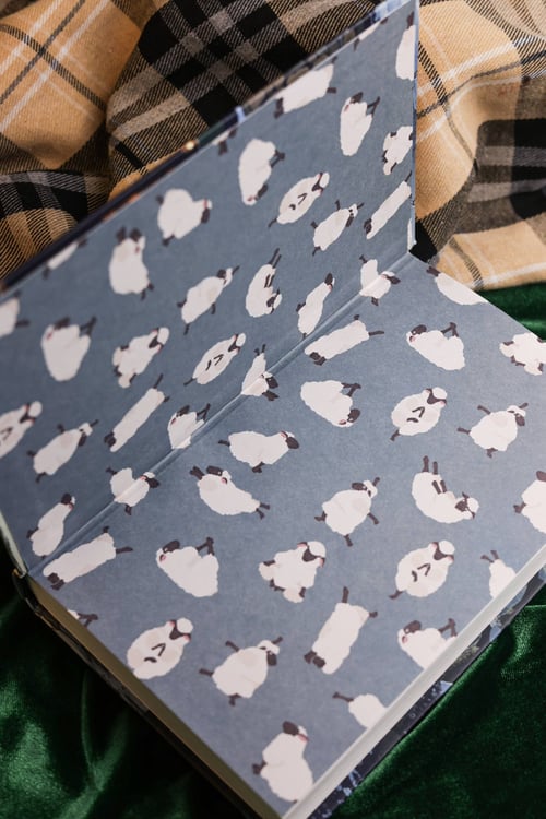 Дополнительное изображение книги «Клубок загадок и шерсти»