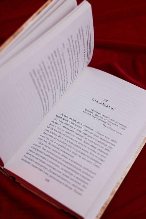Дополнительное изображение книги «Госпожа портниха»