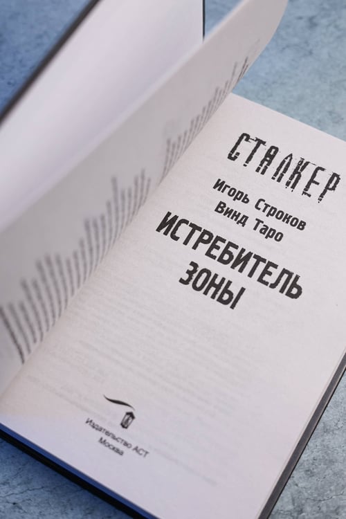Дополнительное изображение книги «Истребитель Зоны»