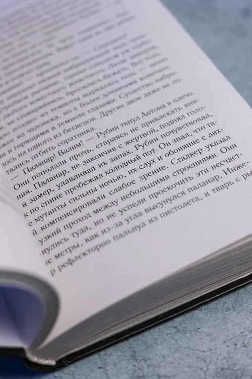 Дополнительное изображение книги «Истребитель Зоны»