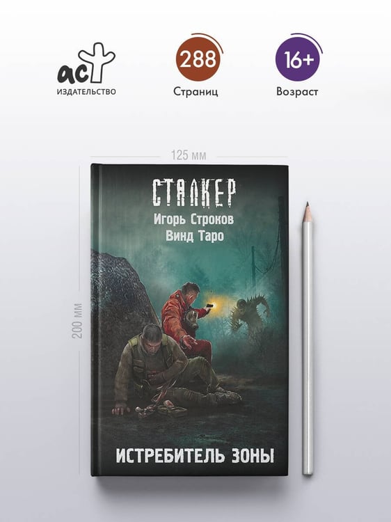 Дополнительное изображение книги «Истребитель Зоны»