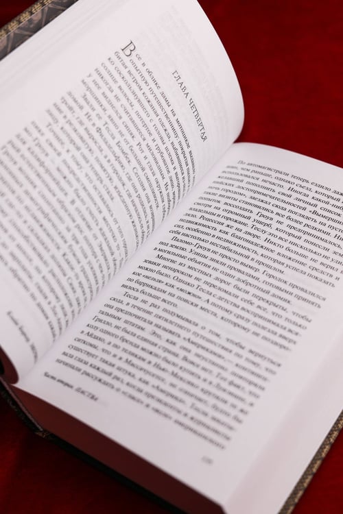 Дополнительное изображение книги «Эвервилль»
