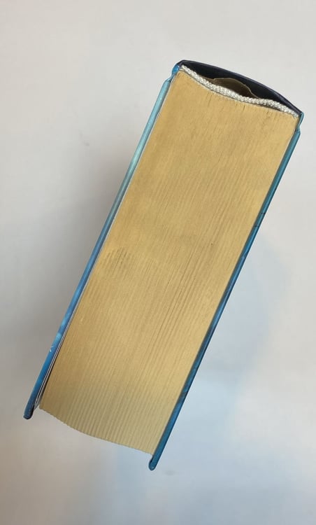Дополнительное изображение книги «Дети великого шторма»