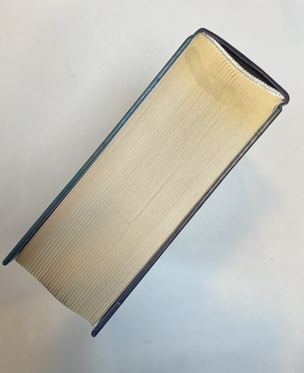 Дополнительное изображение книги «Дети великого шторма»
