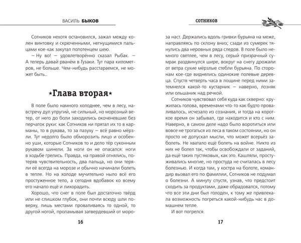 Дополнительное изображение книги «Сотников»