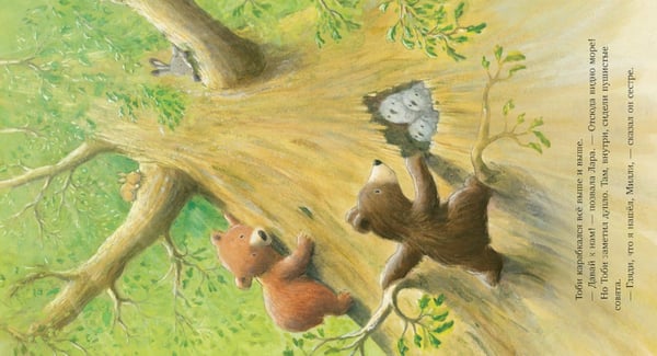 Дополнительное изображение книги «Секрет храброго медвежонка»
