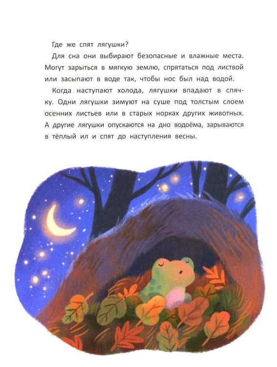 Дополнительное изображение книги «Сказки для сладких снов»