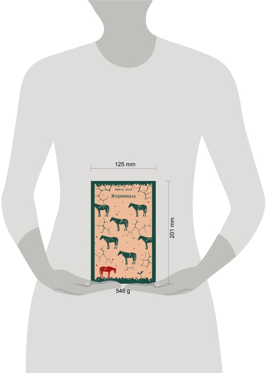Дополнительное изображение книги «Жерминаль»