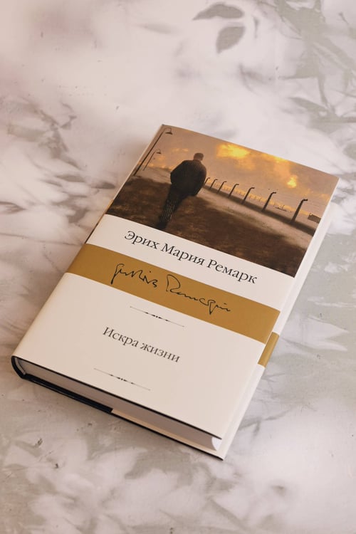 Дополнительное изображение книги «Искра жизни»