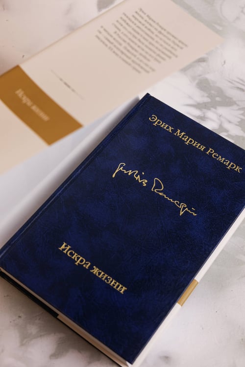 Дополнительное изображение книги «Искра жизни»