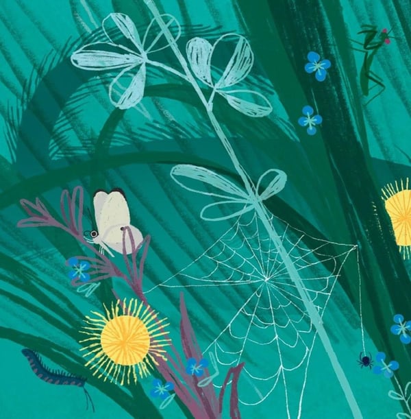 Дополнительное изображение книги «Эй, Разбойник!»