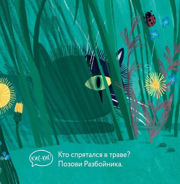 Дополнительное изображение книги «Эй, Разбойник!»