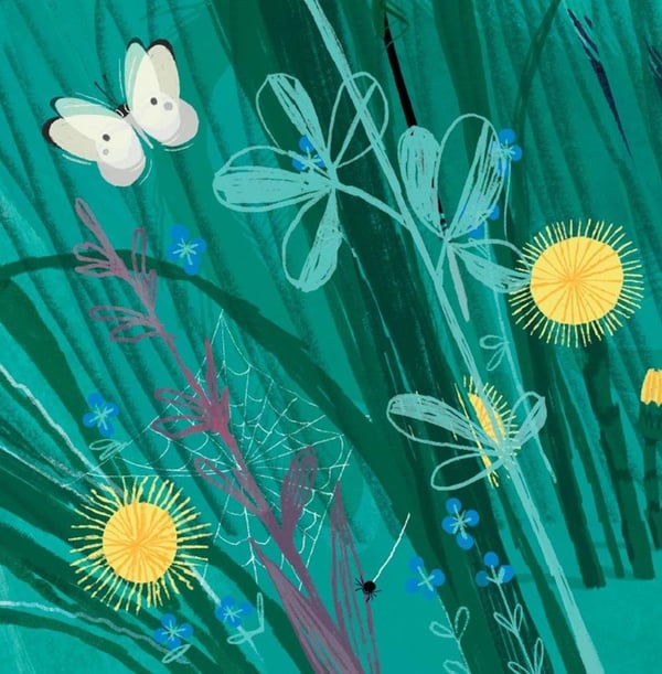 Дополнительное изображение книги «Эй, Разбойник!»