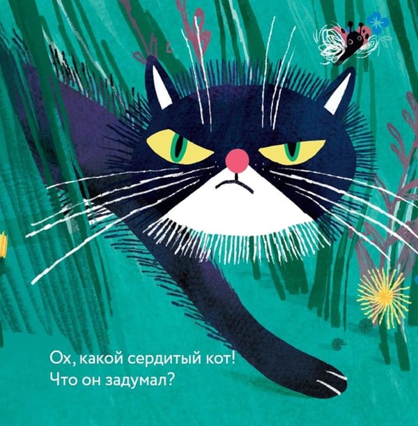 Дополнительное изображение книги «Эй, Разбойник!»