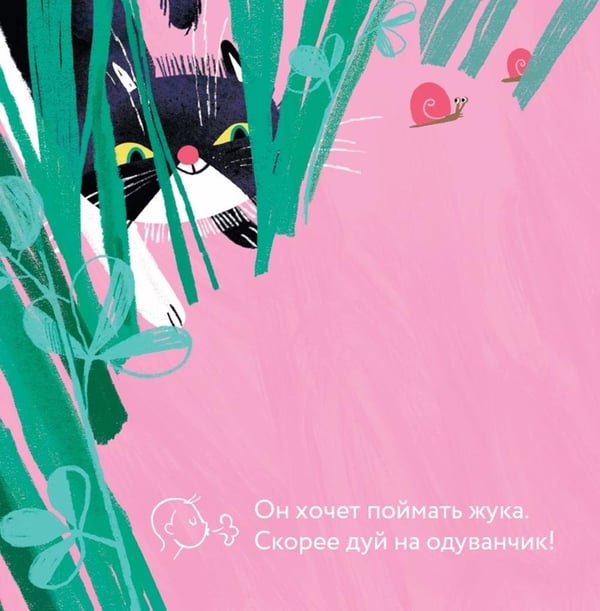 Дополнительное изображение книги «Эй, Разбойник!»