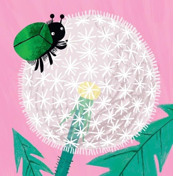 Дополнительное изображение книги «Эй, Разбойник!»