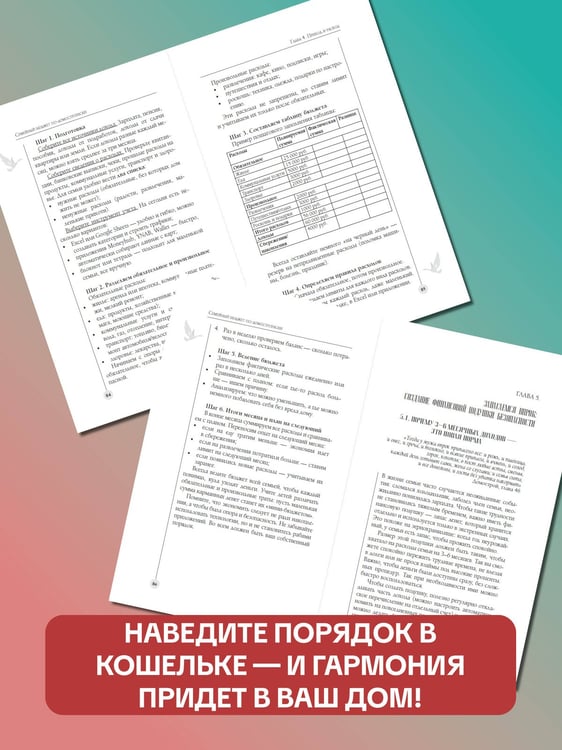 Дополнительное изображение книги «Семейный бюджет по-домостроевски. Разумная экономия и планирование»