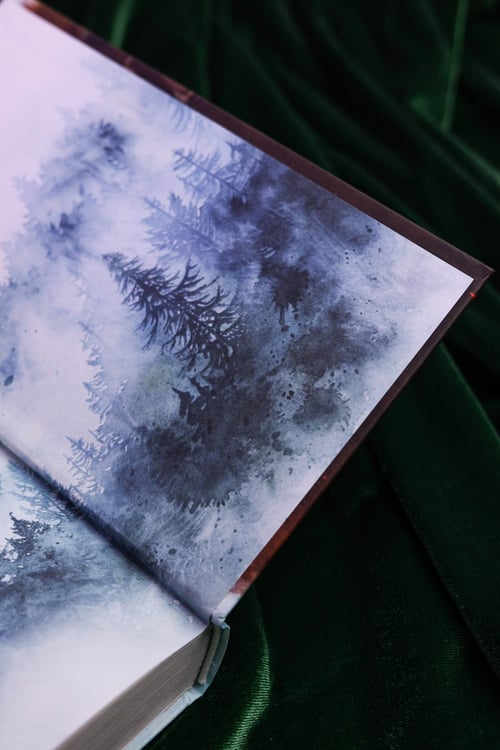 Дополнительное изображение книги «Медвежье сердце»