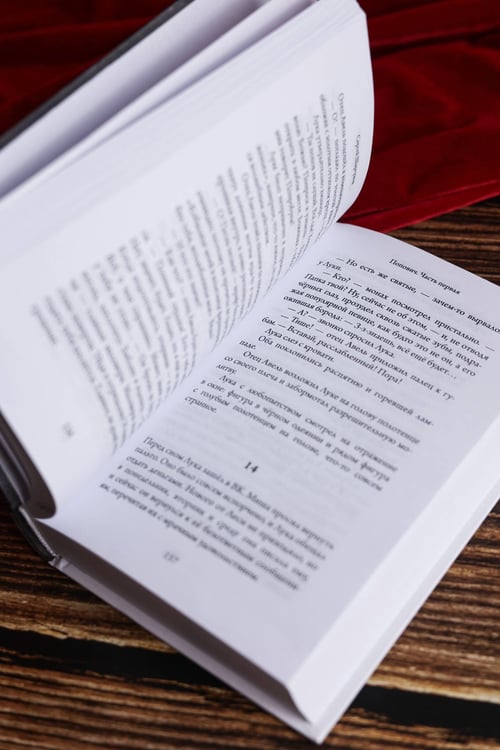 Дополнительное изображение книги «Попович»