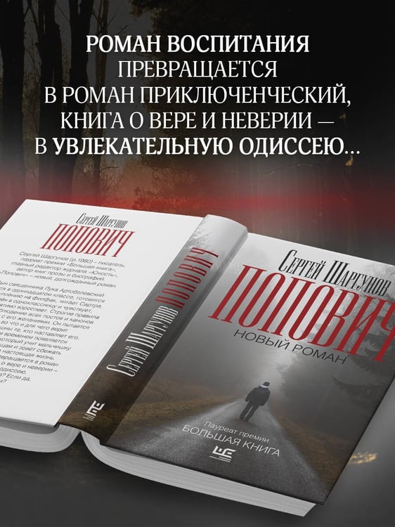 Дополнительное изображение книги «Попович»