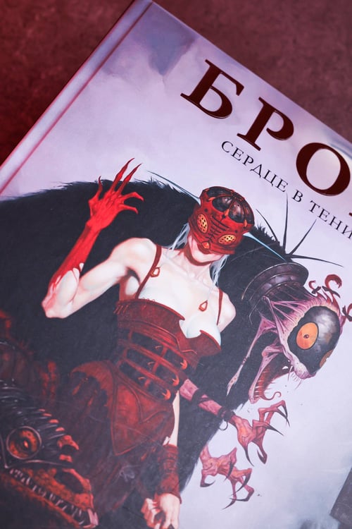 Дополнительное изображение книги «Бром: Сердце в тени»