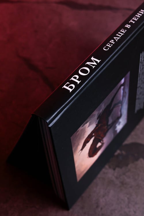 Дополнительное изображение книги «Бром: Сердце в тени»