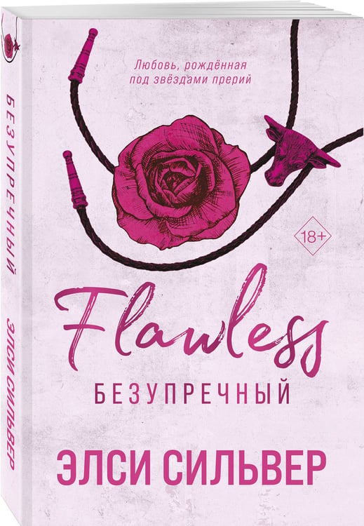 Дополнительное изображение книги «Безупречный (#1)»