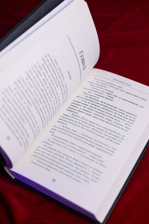 Дополнительное изображение книги «Извращенные сердца»
