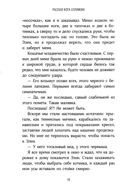 Дополнительное изображение книги «История кота Соломона и Элен, которой было непросто»