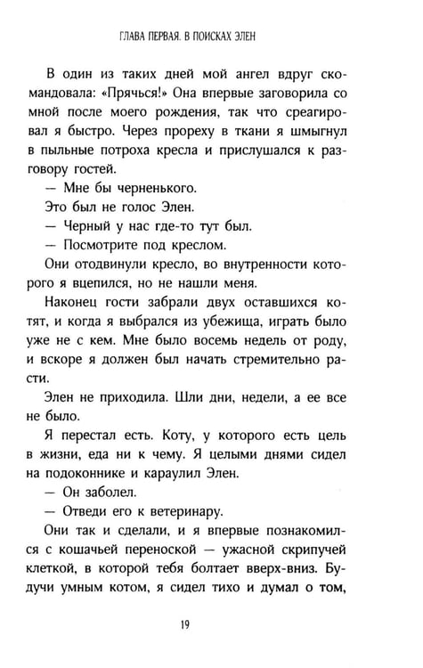 Дополнительное изображение книги «История кота Соломона и Элен, которой было непросто»
