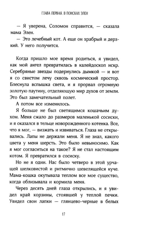 Дополнительное изображение книги «История кота Соломона и Элен, которой было непросто»