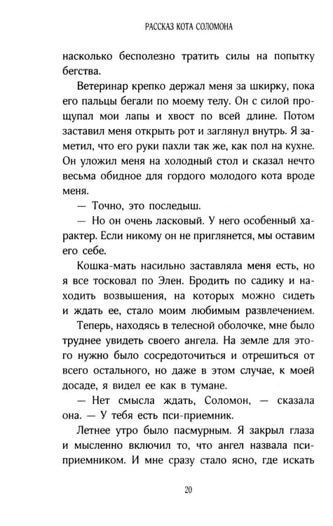 Дополнительное изображение книги «История кота Соломона и Элен, которой было непросто»