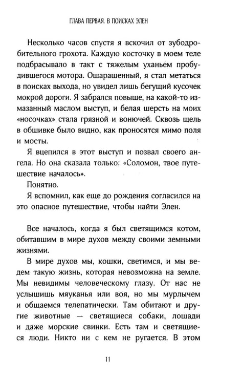 Дополнительное изображение книги «История кота Соломона и Элен, которой было непросто»