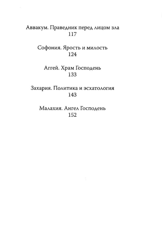 Дополнительное изображение книги «Двенадцать. Книги малых пророков.»