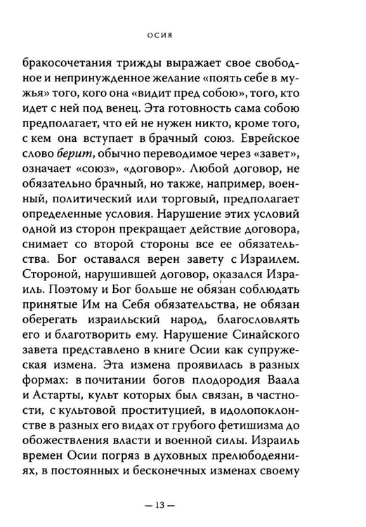 Дополнительное изображение книги «Двенадцать. Книги малых пророков.»