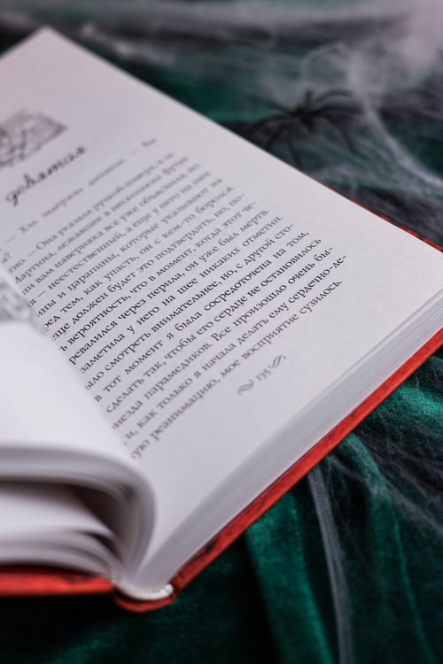 Дополнительное изображение книги «Убийство, кино и немного книг»