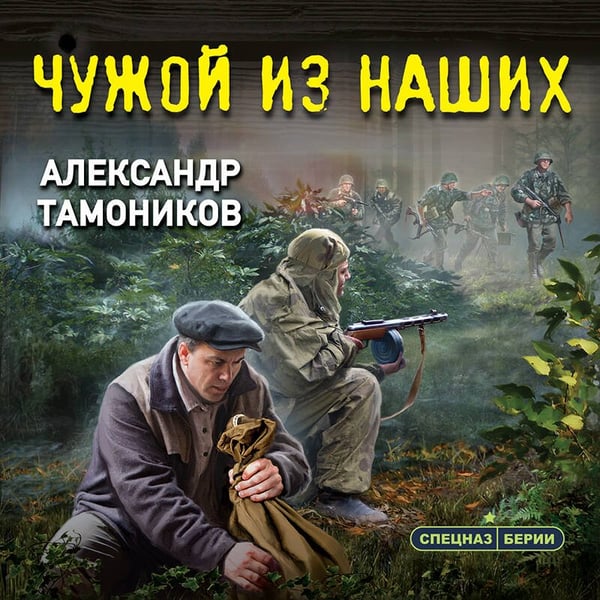 Дополнительное изображение книги «Чужой из наших»