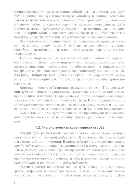 Дополнительное изображение книги «Анатомия зубов человека: Учебное пособие. 7-е изд., доп. и испр»