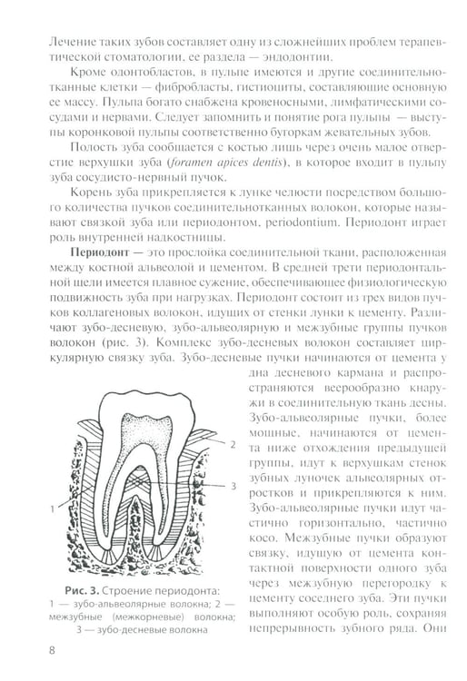 Дополнительное изображение книги «Анатомия зубов человека: Учебное пособие. 7-е изд., доп. и испр»