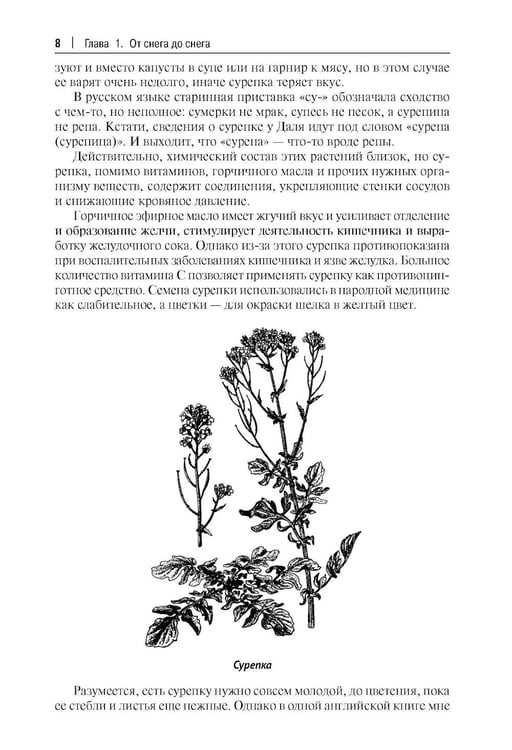 Дополнительное изображение книги «Кухня Робинзона. Рецепты блюд из дикорастущих и декоративных растений. 3-е изд., испр. и доп»