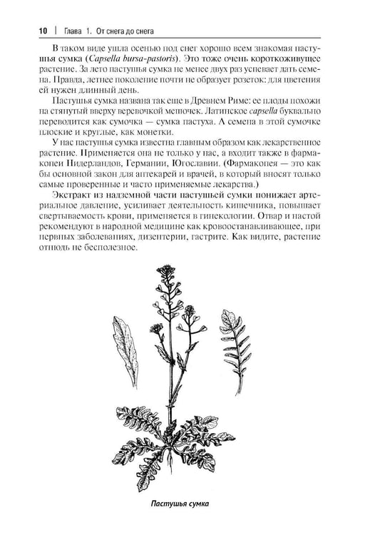 Дополнительное изображение книги «Кухня Робинзона. Рецепты блюд из дикорастущих и декоративных растений. 3-е изд., испр. и доп»