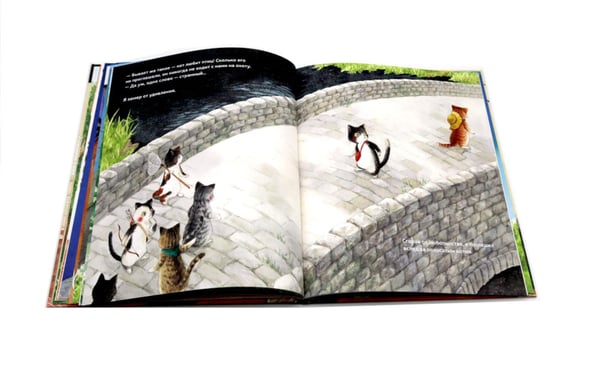Дополнительное изображение книги «Тайна котика»