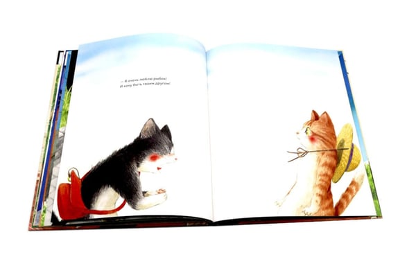 Дополнительное изображение книги «Тайна котика»