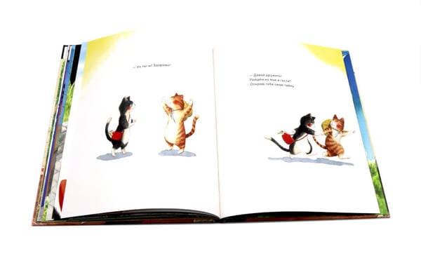 Дополнительное изображение книги «Тайна котика»