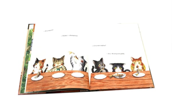 Дополнительное изображение книги «Тайна котика»