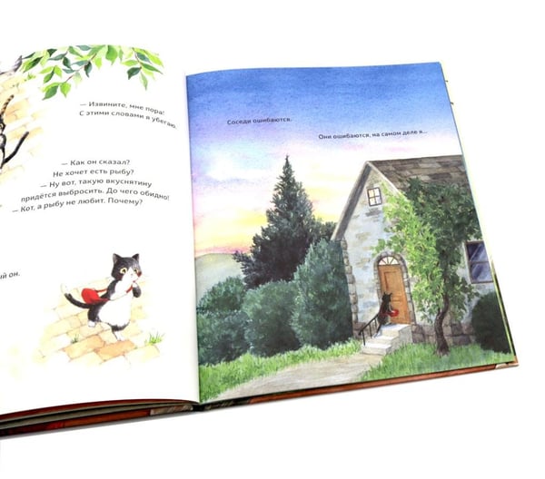 Дополнительное изображение книги «Тайна котика»