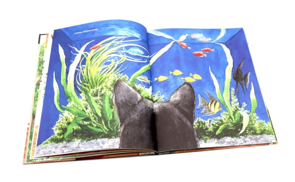 Дополнительное изображение книги «Тайна котика»