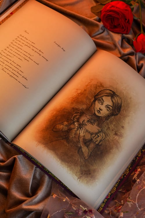 Дополнительное изображение книги «Красавица и чудовище»