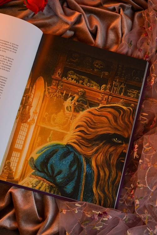 Дополнительное изображение книги «Красавица и чудовище»