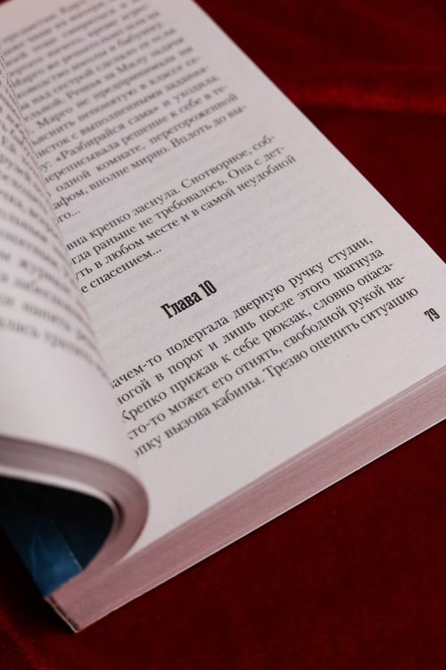 Дополнительное изображение книги «В паутине иллюзий»